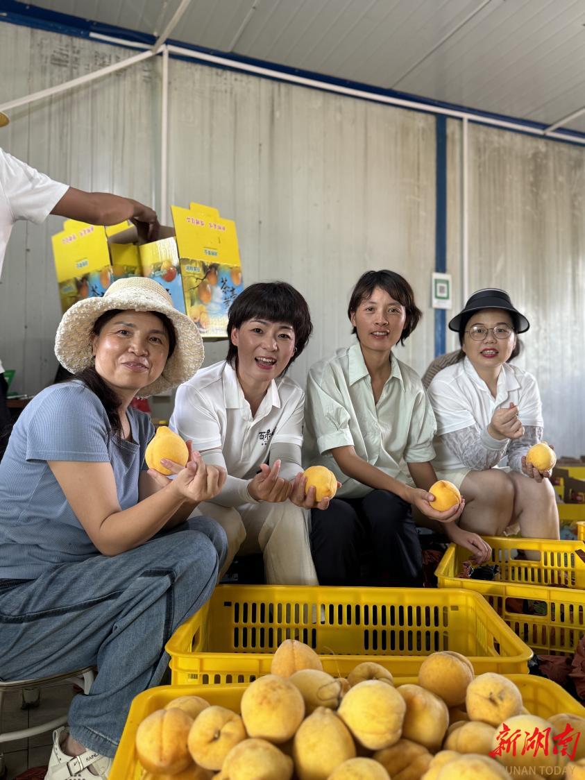 展现“她力量”！望城女企协爱心助农跑出“加速度”